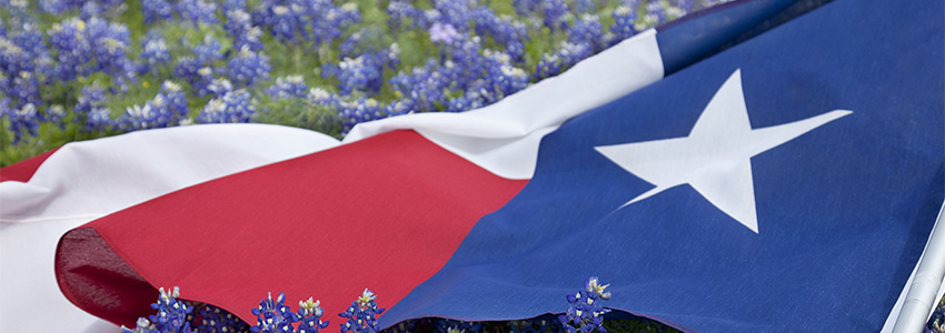 Texas Flag